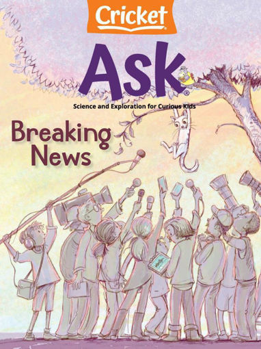 圖片 ASK