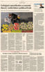 圖片 Financial Times紙本-訂閱半年156期