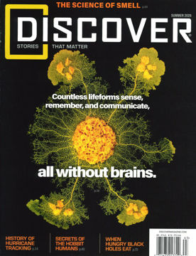 圖片 DISCOVER