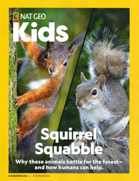 圖片 NATIONAL GEOGRAPHIC KIDS過刊